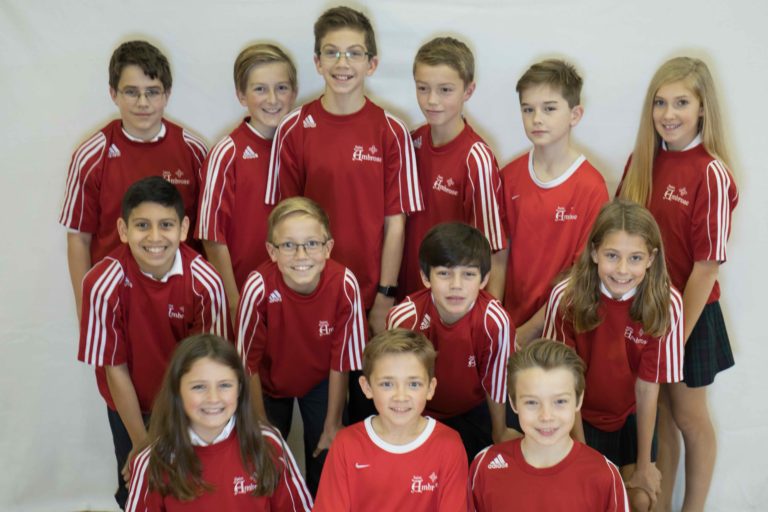 Divisions St. Ambrose of Woodbury